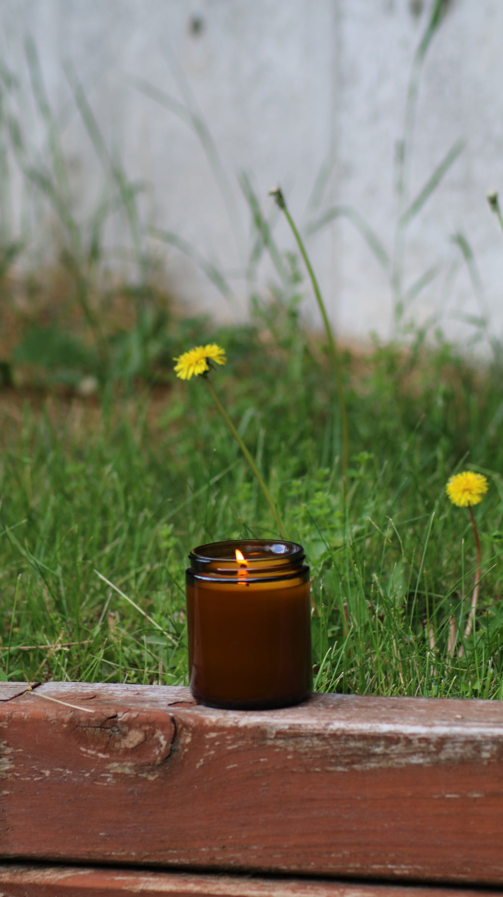 Radiant Tonic